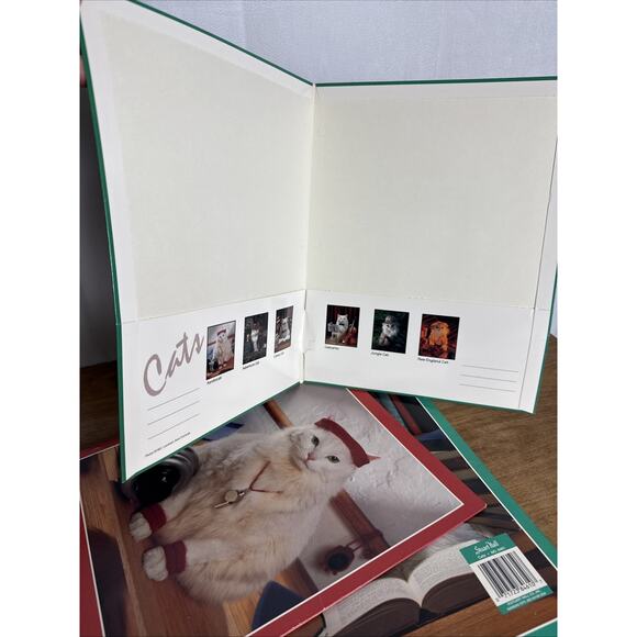 Vintage Stuart Hall Folder Lot Cats in School Unpunched Excellent Cond 1993 NOS - Picture 16 of 16